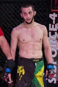 Damir Mamedov